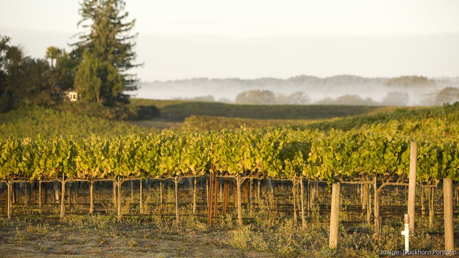 A California Superstar in the Making: Wentworth Vineyards