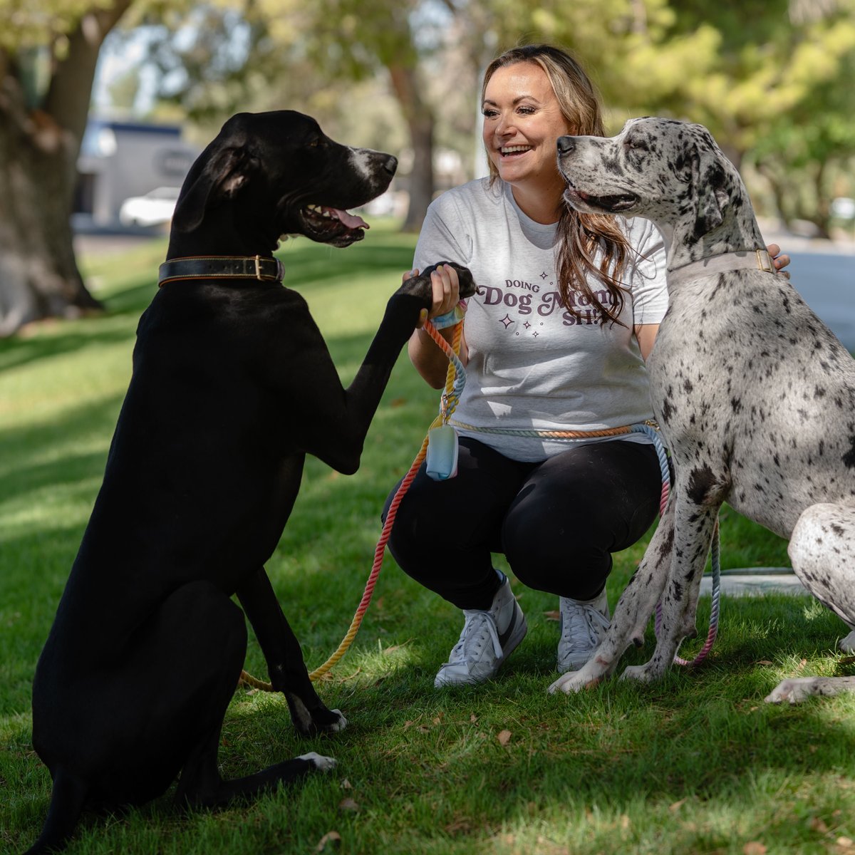 Scottsdale entrepreneur creates Elevated Craft Cocktail Shaker - AZ Big  Media