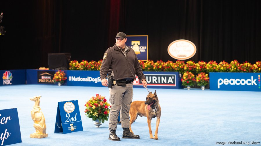 2023 National Dog Show expects nearrecord audience to see another Best