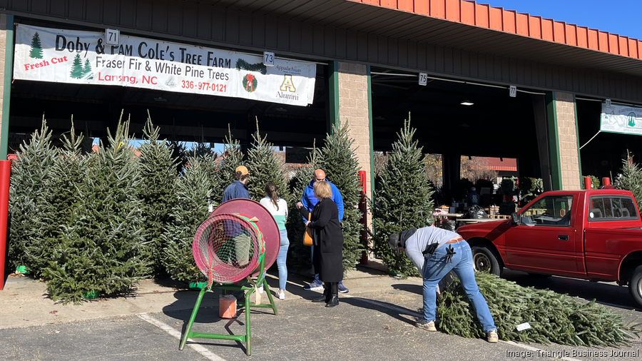 Christmas trees plentiful, prices stable as holidays approach Triangle Business Journal