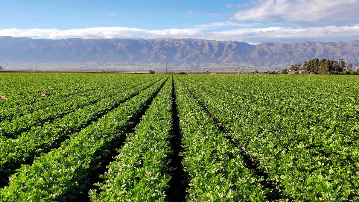 How Maricopabased Biodel AG aims to revolutionize the agriculture