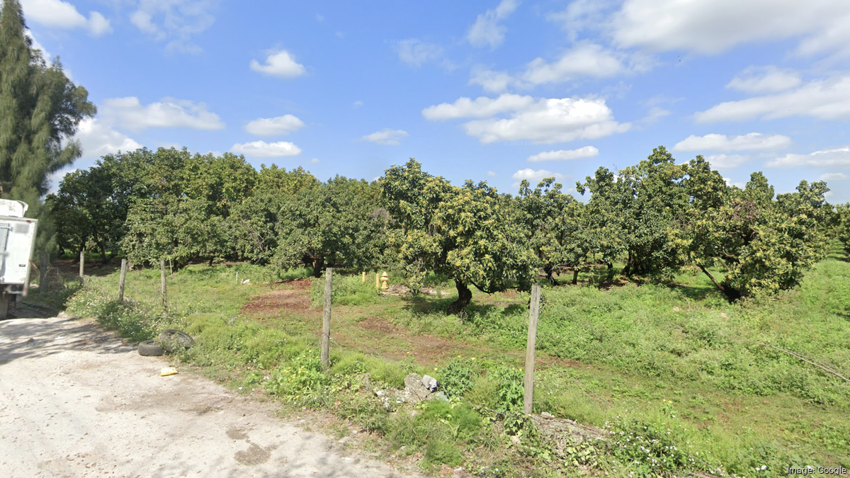 Lali II could redevelopment avocado farm in Goulds MiamiDade County