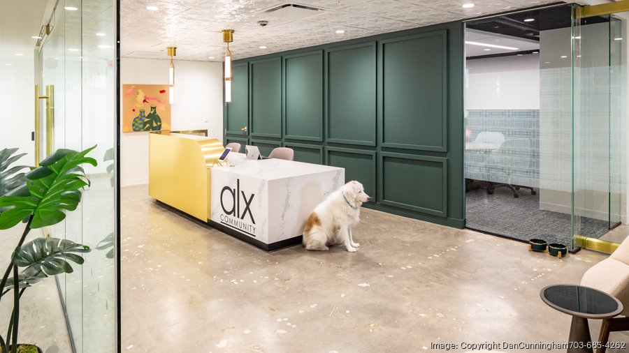 Atrium Front Desk+Dog
