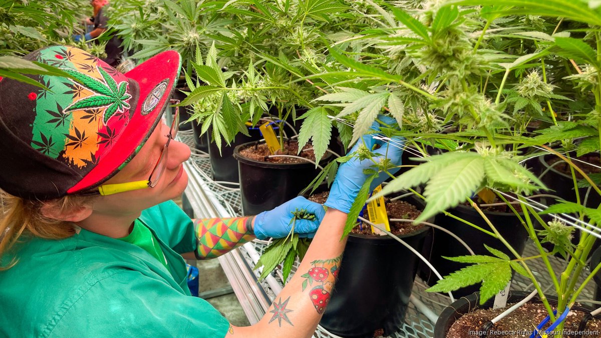 Missouri appeals court hears case over local governments stacking sales