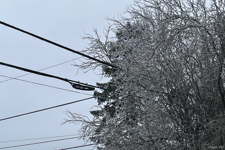 PGE, property managers sued for $375M in electrocution deaths
