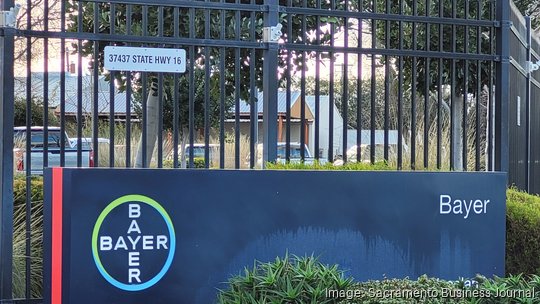 Bayer Woodland gate