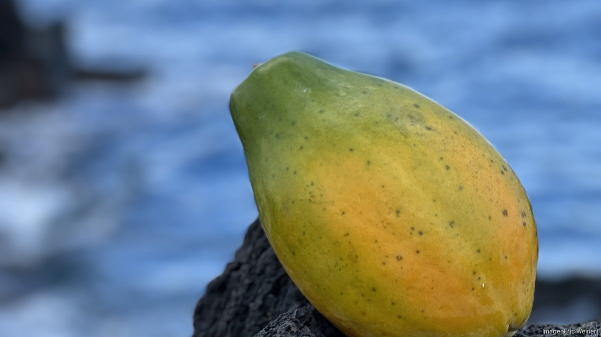 Papaya company offers directtoconsumer delivery model Pacific