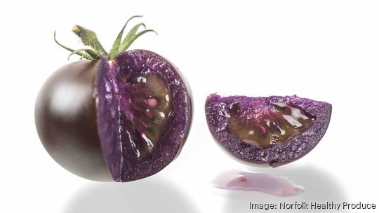 Norfolk Purple Tomato 1