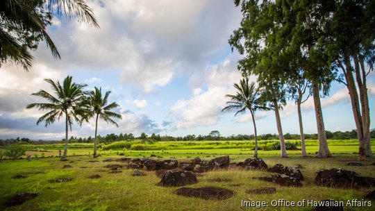 Wahiawa