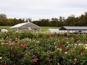 TEDCO’s ARR grant propels Grateful Gardener’s innovative technology in floriculture