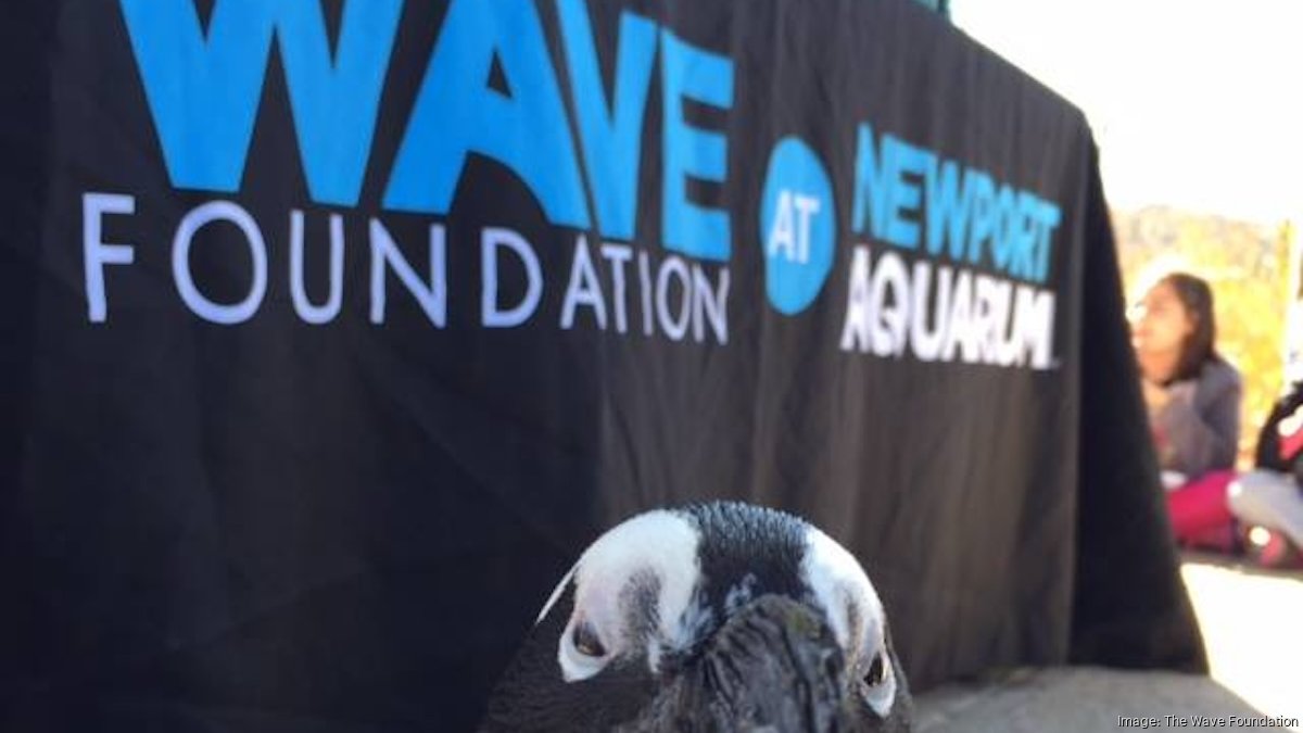 Wave Foundation signs lease at Newport on the Levee - Cincinnati ...