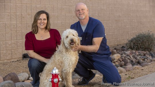 Pet Ortho Braces