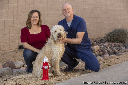 Pet Ortho Braces