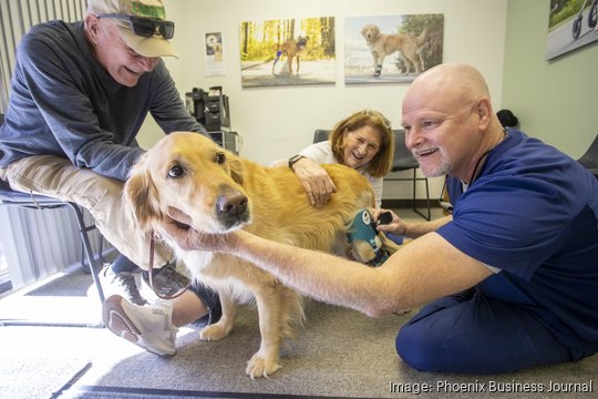 Pet Ortho Braces