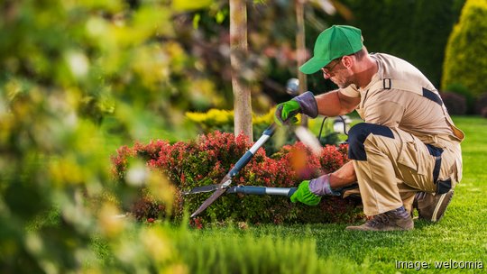 Caucasian Garden and Landscaping Services Contractor