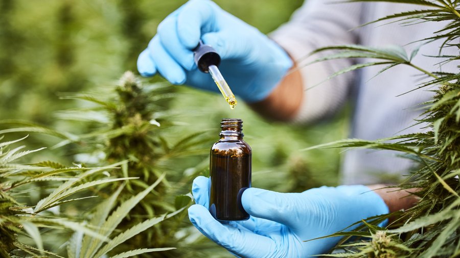 502 Hemp announces launch of exclusive wellness and relaxation brands Mireya and DZ - Louisville Business First