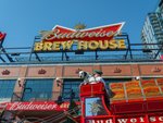 Budweiser Brew House