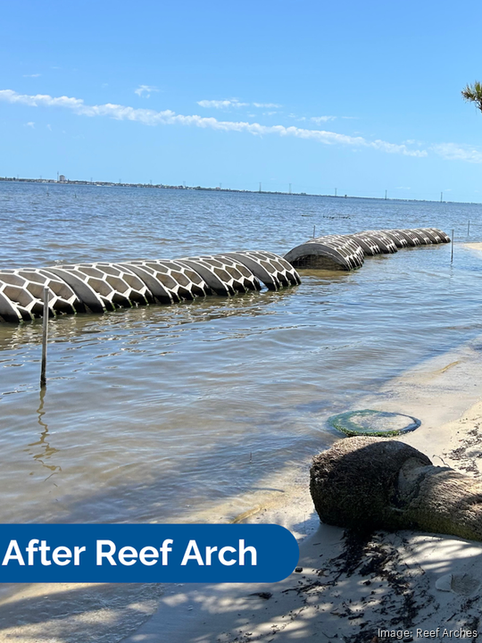 Reef Arches