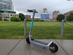 Bird scooter