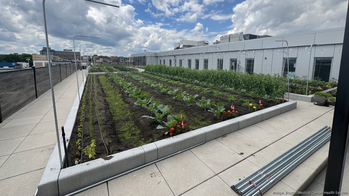 Growing green: BMC opens second rooftop farm