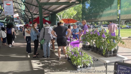 NHP Davis Farmers Market summer 2024 copy