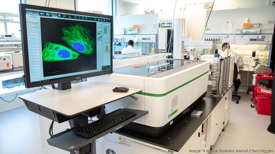 How Moderna, Takeda are using AI to transform their companies Boston