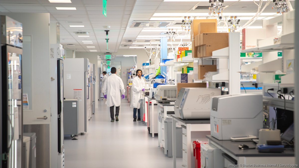Moderna drops CMV vaccine development following trial failure - Boston ...