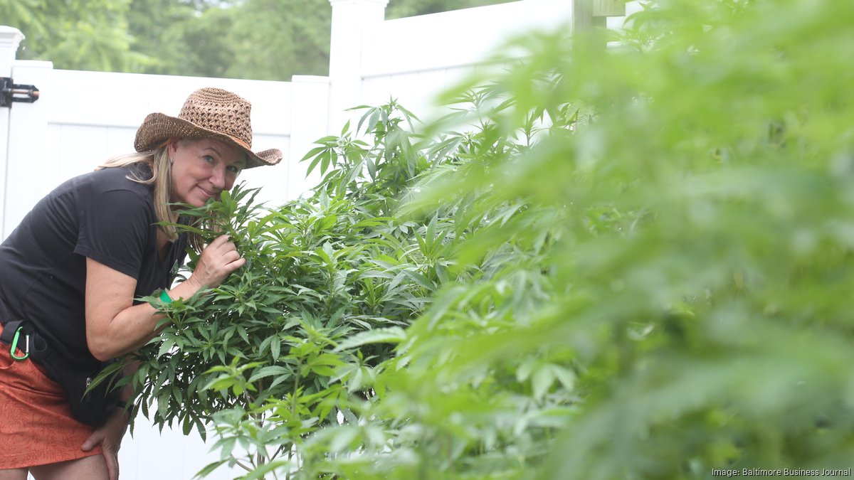 Maryland tourism businesses add cannabis to offerings Baltimore