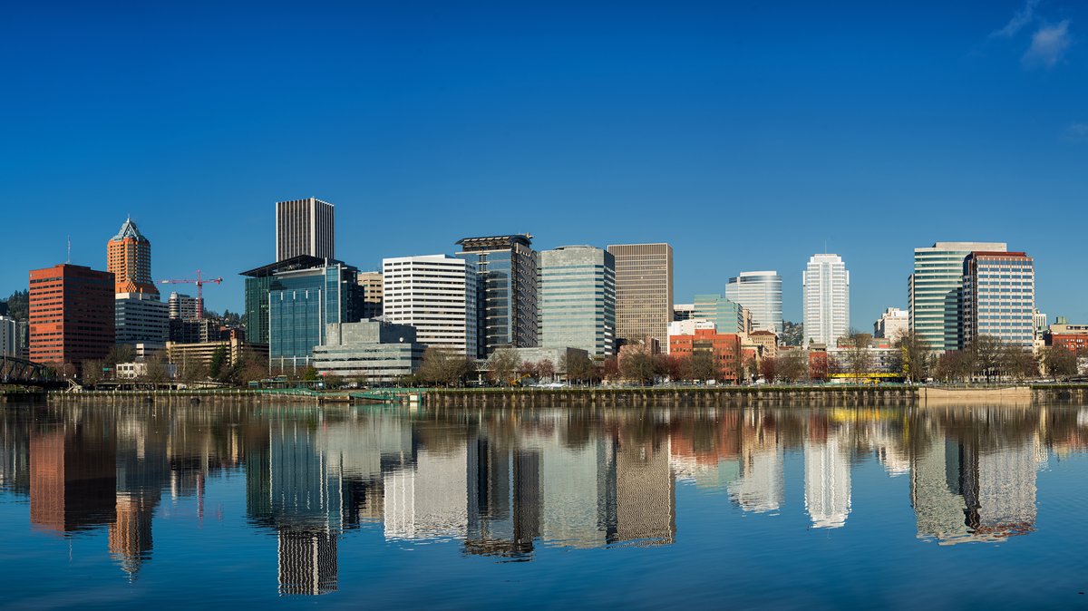 Survey reveals Portland businesses are gaining momentum with AI