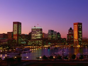 These TEDCO-backed startups are solving complex challenges, achieving success in Baltimore