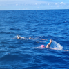 地元の水泳選手がカイウィ海峡28マイルの水泳チャレンジに挑戦した方法