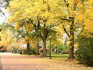 Oregon state university