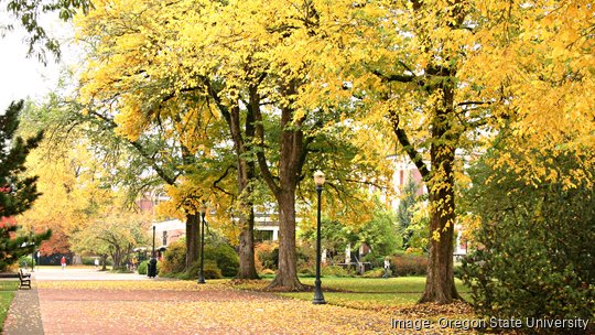 Oregon state university