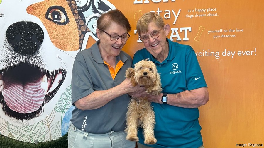 邦楽 DOGGIES febb knzz grow around J-SCHEME 邦楽 DOGGIES febb knzz grow around J-SCHEME 邦楽 DOGGIES febb knzz