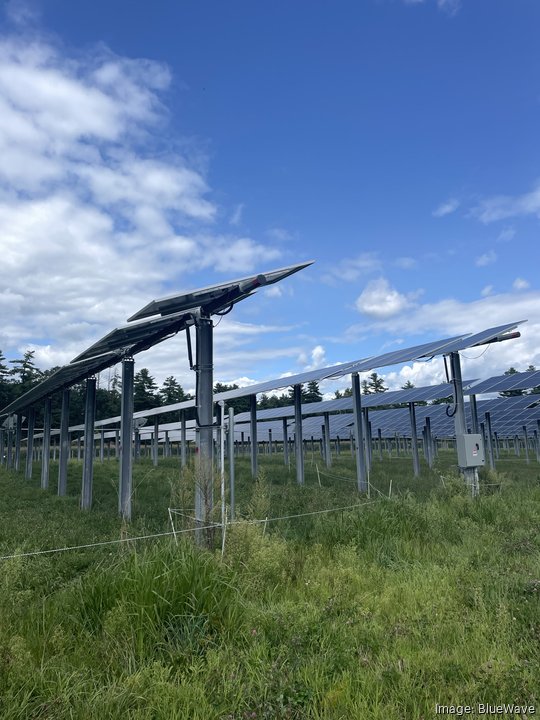 Palmer MA Array 1