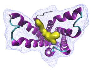 A model of GPCR with a small molecule ligand