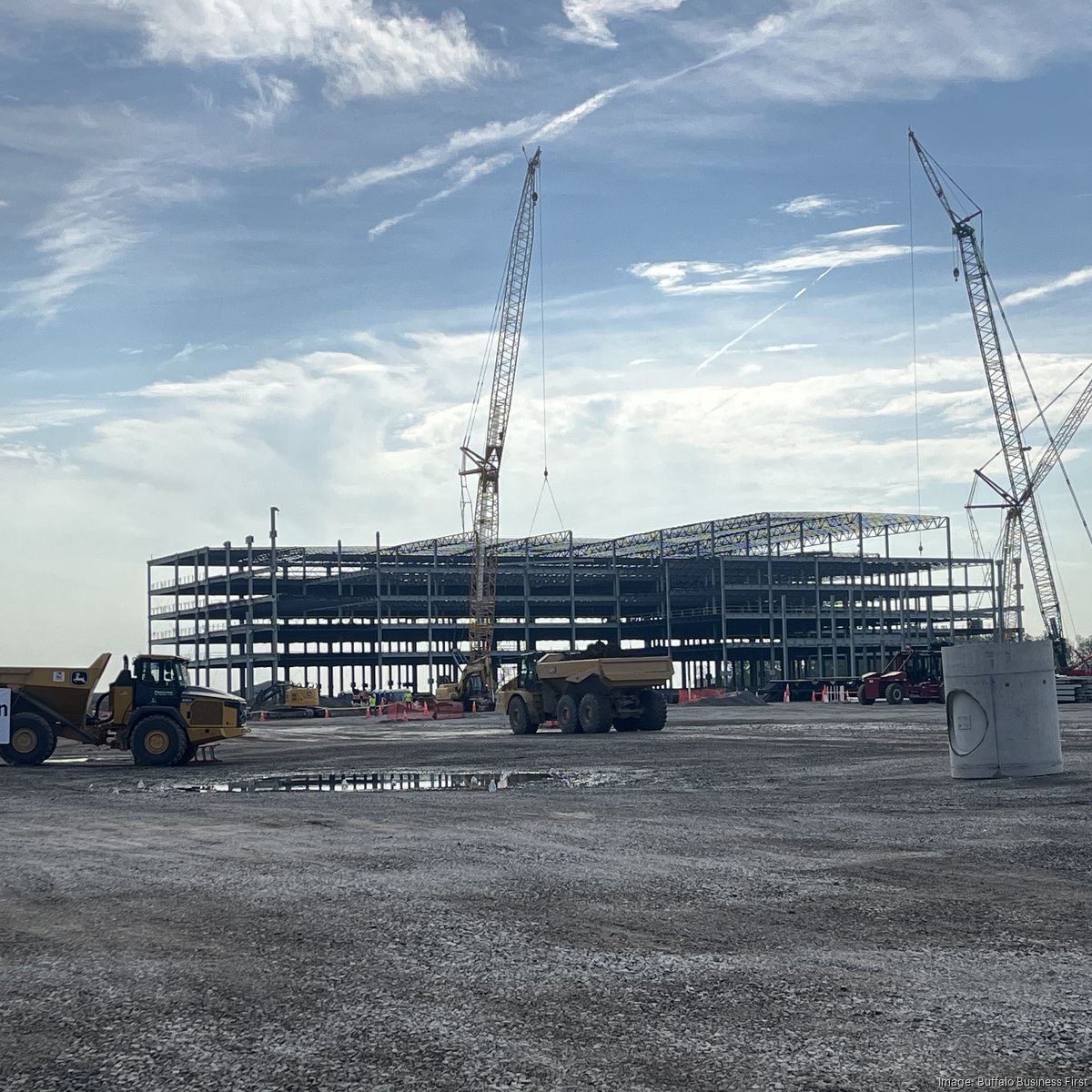 新疆生产建设兵团的体制与运行研究 Amazon4万円 新疆生产建设兵团的