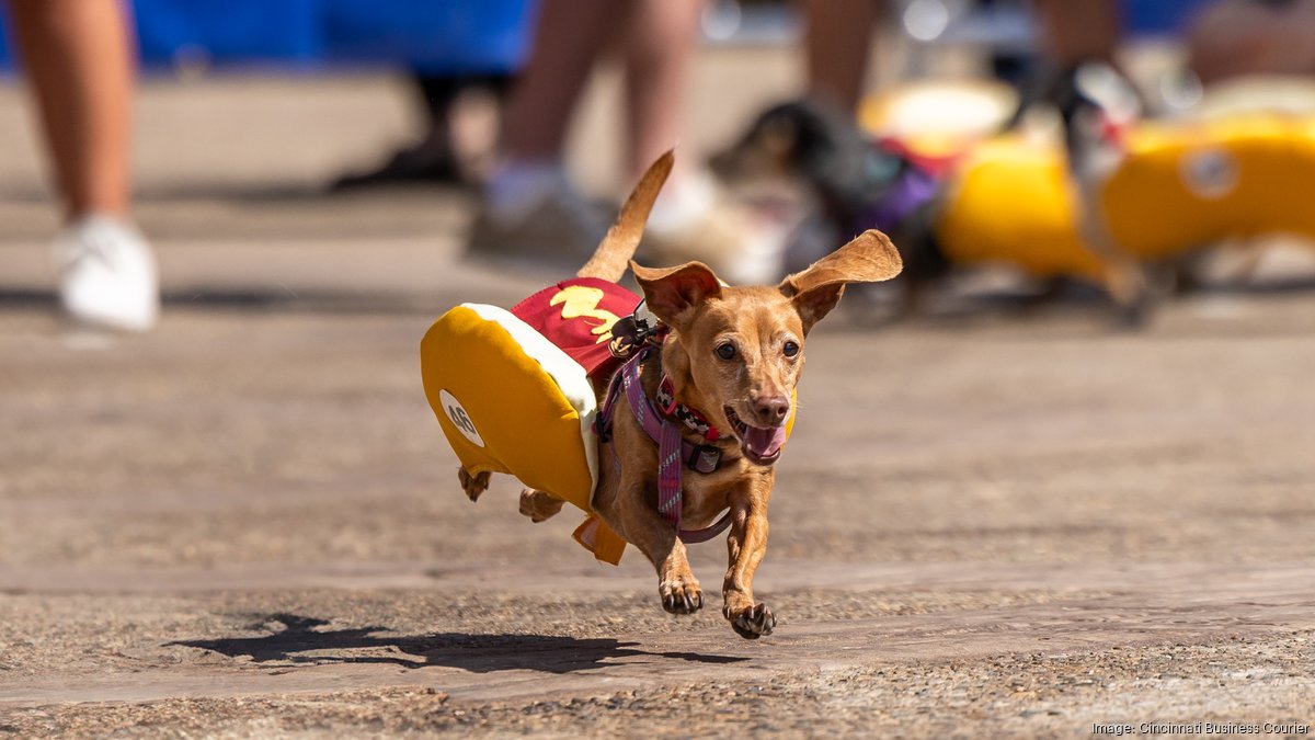 Oktoberfest Zinzinnati 2024 takes over the riverfront Cincinnati