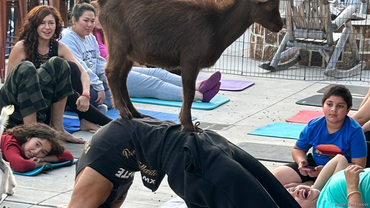 Following ordinance issue, goat yoga herded over to Grace Note