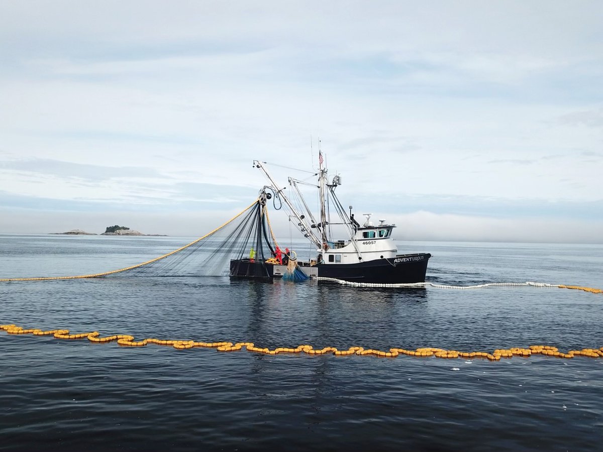 custom made fishing nets Sierra Nets