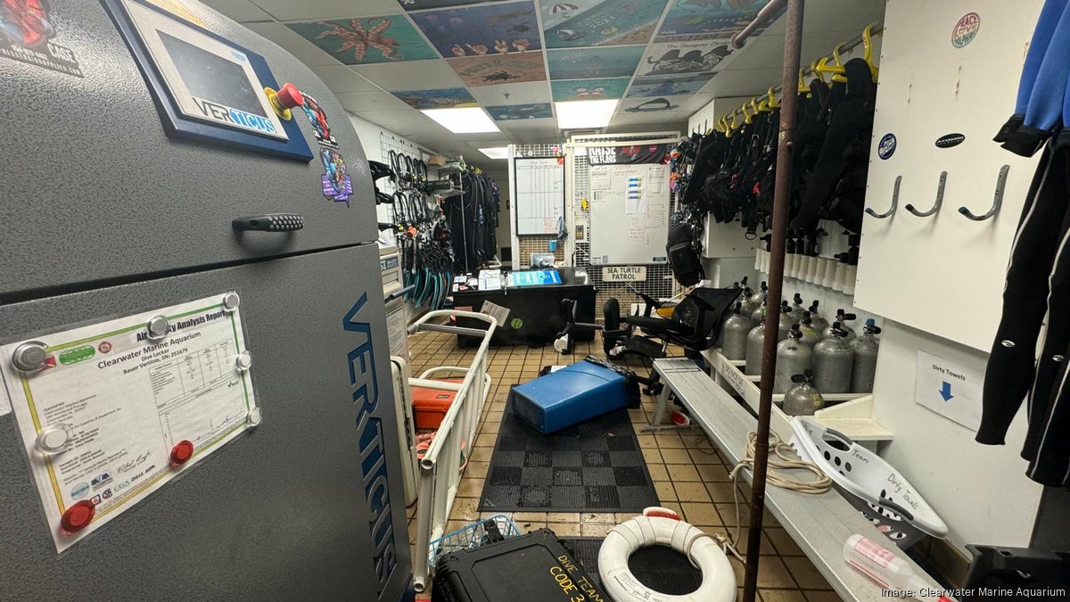 Clearwater Marine Aquarium suffers severe flooding Tampa Bay Business