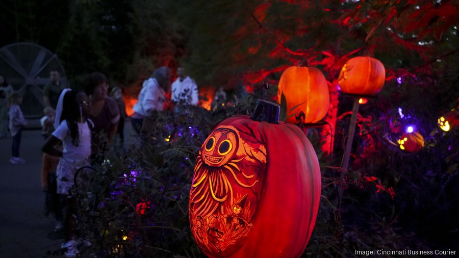 Cincinnati Zoo debuts Jack O'Lantern Glow for Halloween 2024