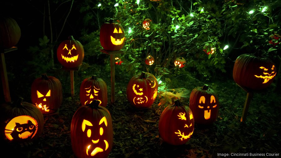 Cincinnati Zoo debuts Jack O'Lantern Glow for Halloween 2024