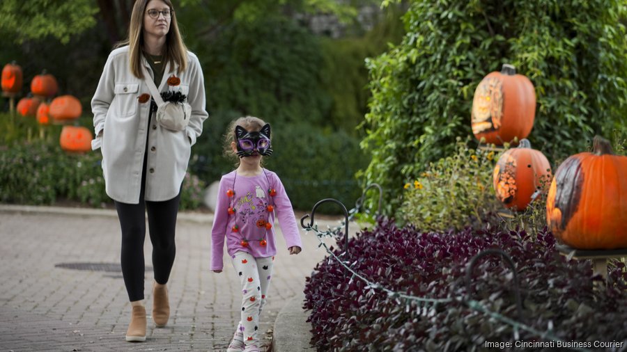 Cincinnati Zoo debuts Jack O'Lantern Glow for Halloween 2024