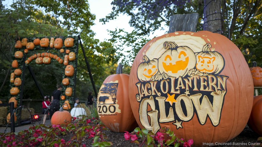 Cincinnati Zoo debuts Jack O'Lantern Glow for Halloween 2024