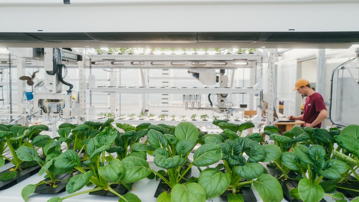 Canopii automated greenhouse to cut produce supply chains Portland