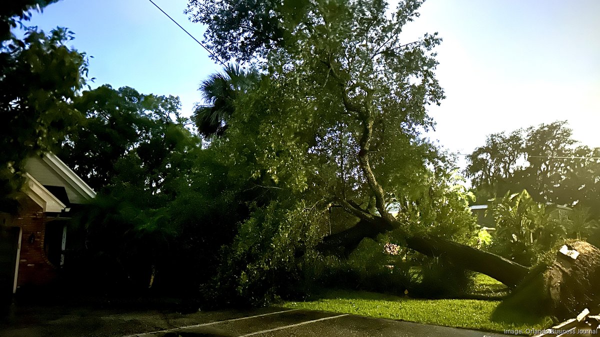 Home insurance surged in Florida with hurricane damage increasing