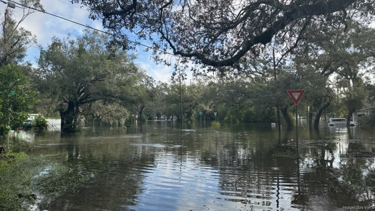 Tampa flooding prompts Luis Viera to call for citycounty review