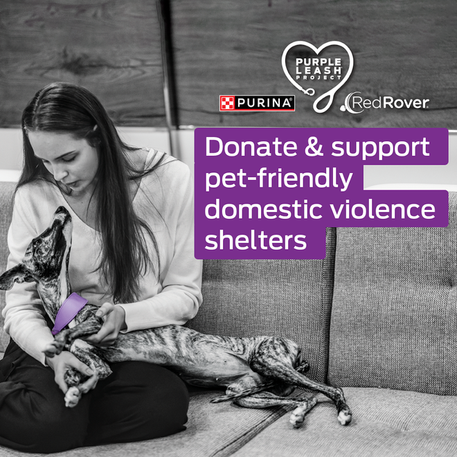 How Purina helps create safe havens for petowning domestic violence