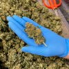 大麻規制当局はミズーリ州の社会的公平性プログラムにおける略奪行為を懸念
